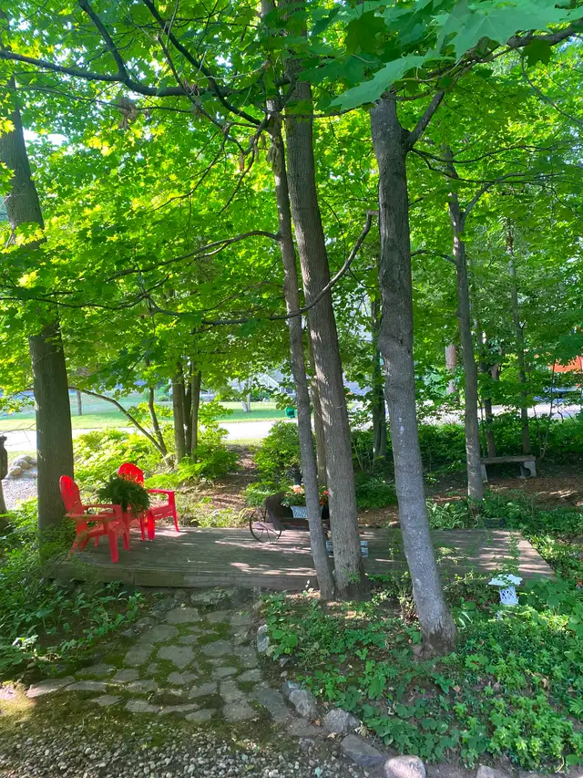 Deeded Access to Lake Muskoka - Photo 17