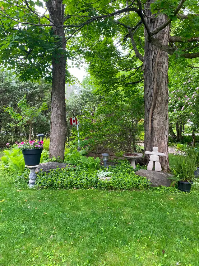 Deeded Access to Lake Muskoka - Photo 21