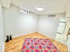 2 BED   1 BATH BASEMENT UNIT IN RICHMOND HILL - Photo 9
