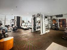 Condo 3 1/2 a louer Sud-Ouest ( Griffentown - Bass 1) - Photo 3