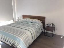 Condo 3 1/2 a louer Sud-Ouest ( Griffentown - Bass 1) - Photo 10