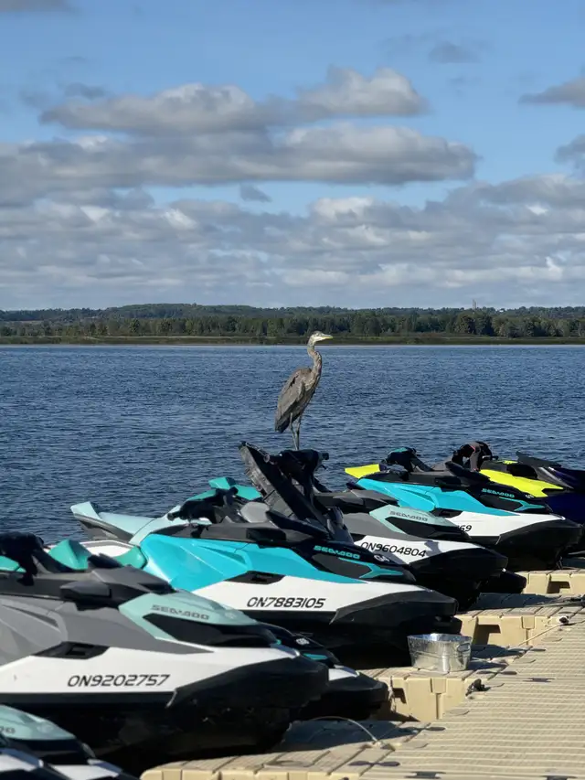 Toronto JetSki, only $99