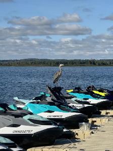Toronto JetSki, only $99