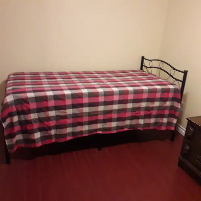 Fur Base. room For Rent at Brimley & Eglinton from Jun 1, 2026 - Photo 4