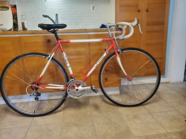 14 speed Fiori bicycle