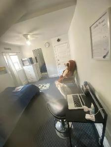 Room for rentTORONTO, CLEAN UPSCALE FURNISHED ROOM FOR STUDENTS