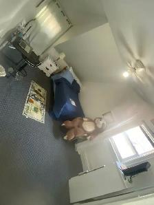 Room for rentTORONTO, CLEAN UPSCALE FURNISHED ROOM FOR STUDENTS - Photo 2