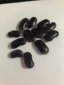 Scarlet Runner Seeds - Photo 2