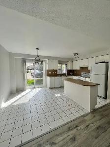 Room in House for Rent by WinstonChurchill & Hwy403 in ErinMills
