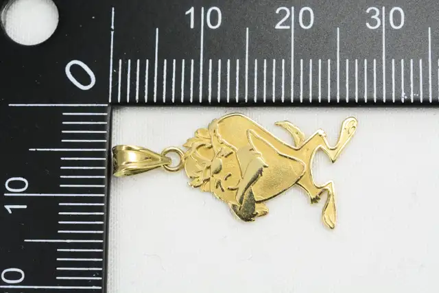 14K TAZ PENDANT - Photo 9