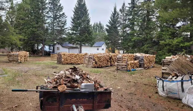 Seasoned Birch Firewood