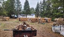 Seasoned Birch Firewood