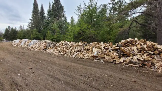 Seasoned Birch Firewood - Photo 2