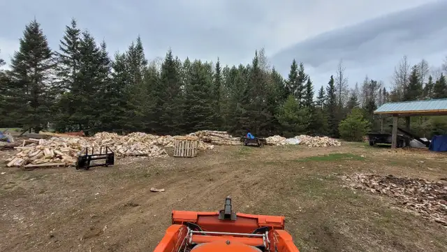 Seasoned Birch Firewood - Photo 3