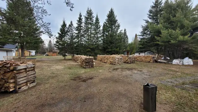 Seasoned Birch Firewood - Photo 4