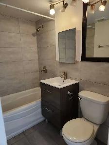4 ½ A LOUER GRAND CHAUFFE MONTREAL-NORD - Photo 7