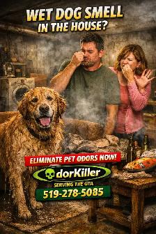 Odor remover guaranteed permanent