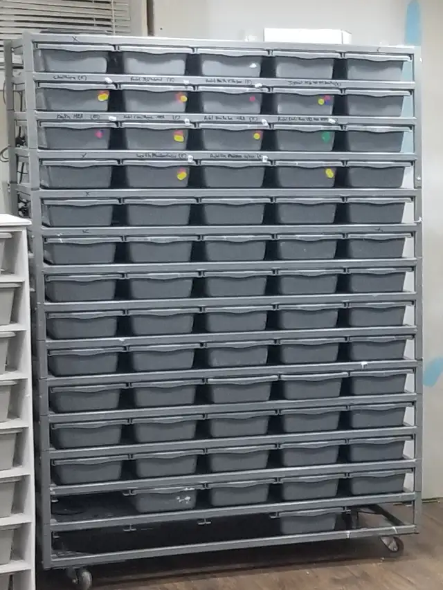 Racks! Ball python racks available. With Herpstats or without.
