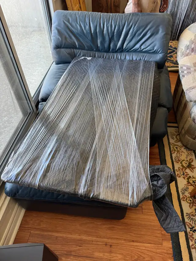 WIS MOVING & DELIVERY  Professional Movers Ottawa-Gatineau - Photo 3