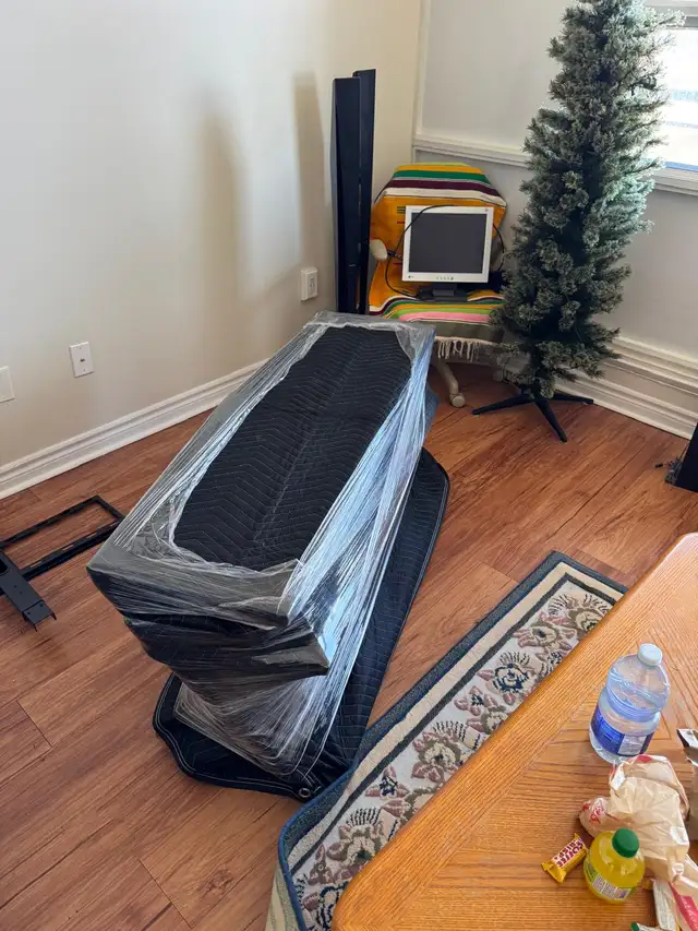 WIS MOVING & DELIVERY  Professional Movers Ottawa-Gatineau - Photo 4