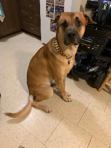 Big Sweet Boy - Photo 5
