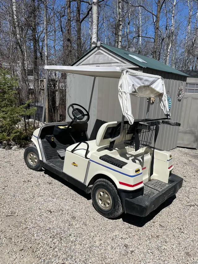 Vintage Hyundai Golf Cart - Photo 2