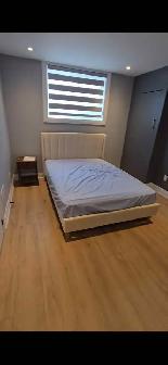 1 Bedroom to Rent for Students or Professionals in Kitchener