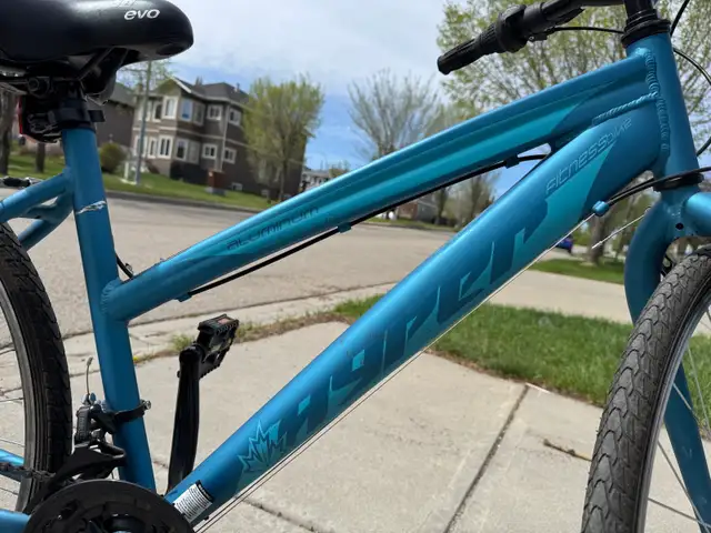 21 speed Bike - Photo 6