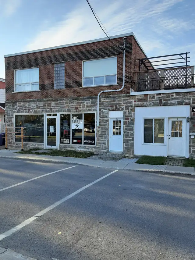 Saint-Rémi, 3 1/2 fraîchement rénové, disponible maintenant