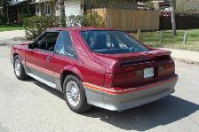 1989 Mustang Cobra GT - Photo 3