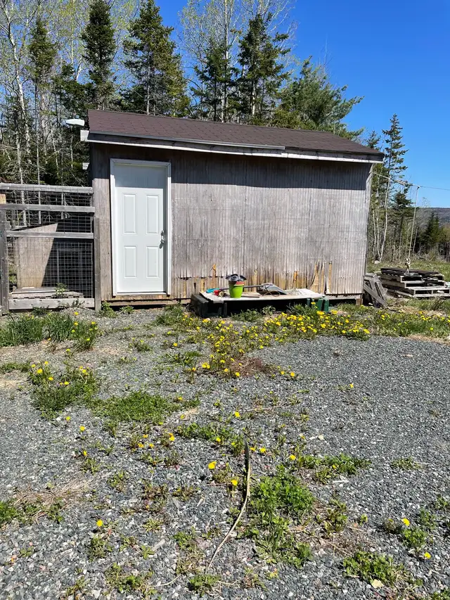 New start-up Farm and Land for Sale in Boularderie, NS - Photo 5