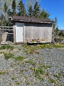 New start-up Farm and Land for Sale in Boularderie, NS - Photo 5