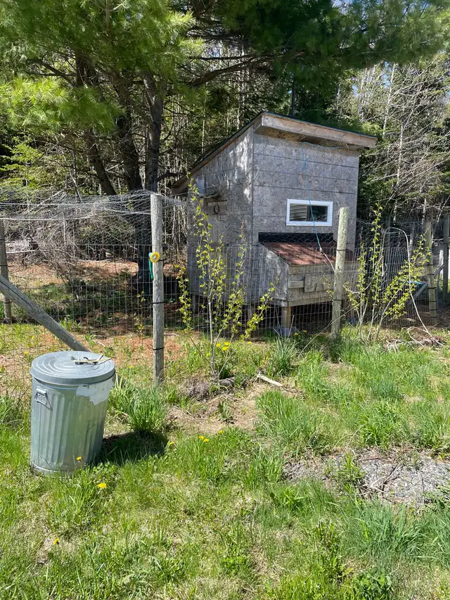 New start-up Farm and Land for Sale in Boularderie, NS - Photo 6