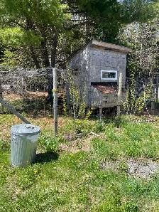 New start-up Farm and Land for Sale in Boularderie, NS - Photo 6