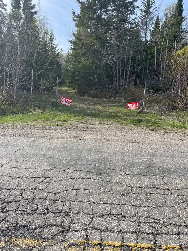 New start-up Farm and Land for Sale in Boularderie, NS - Photo 7