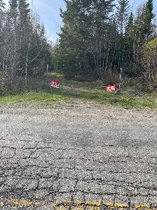 New start-up Farm and Land for Sale in Boularderie, NS - Photo 7