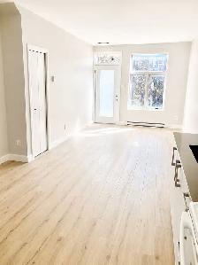 1 Bedroom 1 Bathroom. Rue St Denis - Photo 4