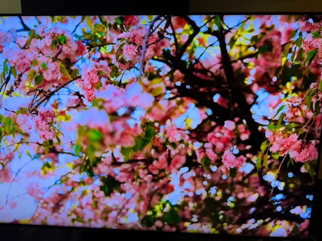 Samsung 65 inches curve 4K smart tv like new - Photo 5