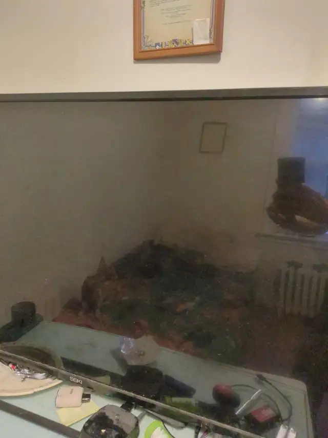 32'   TV - Photo 2