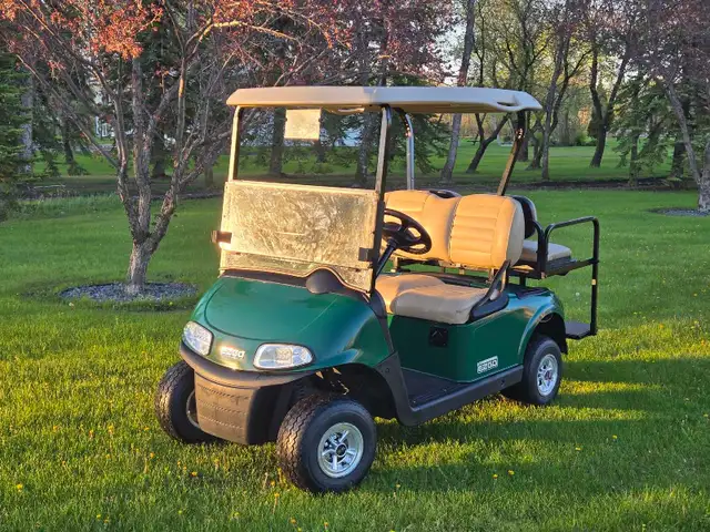 2017 Ezgo rxv with lithium battery golf cart