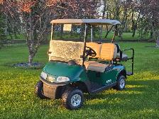 2017 Ezgo rxv with lithium battery golf cart
