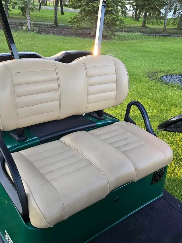2017 Ezgo rxv with lithium battery golf cart - Photo 5