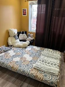 Room for rent