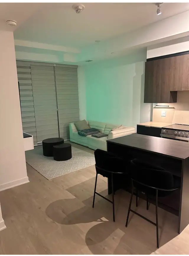 Fully Furnished 2 Bed 2 Bath Short-Term Rental Near Square One