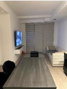Fully Furnished 2 Bed 2 Bath Short-Term Rental Near Square One - Photo 2