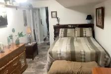 One Bedroom One Bathroom Basement Suite for Rent - Photo 4