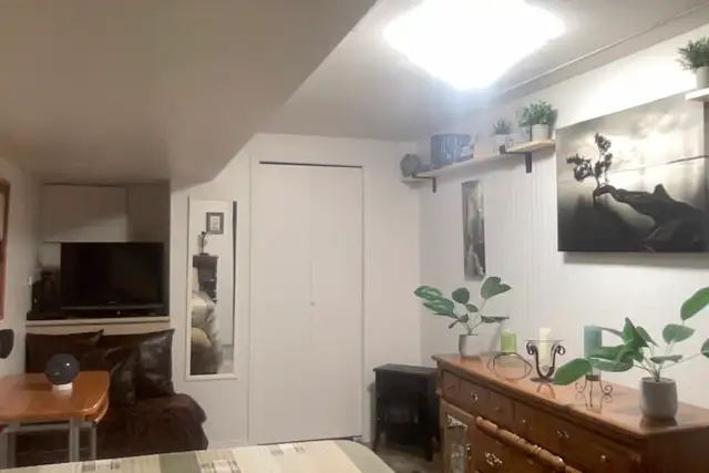 One Bedroom One Bathroom Basement Suite for Rent - Photo 5