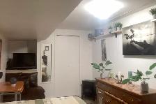 One Bedroom One Bathroom Basement Suite for Rent - Photo 5