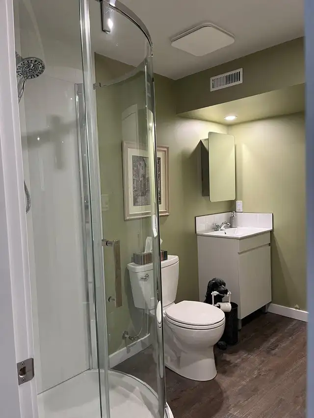 One Bedroom One Bathroom Basement Suite for Rent - Photo 6