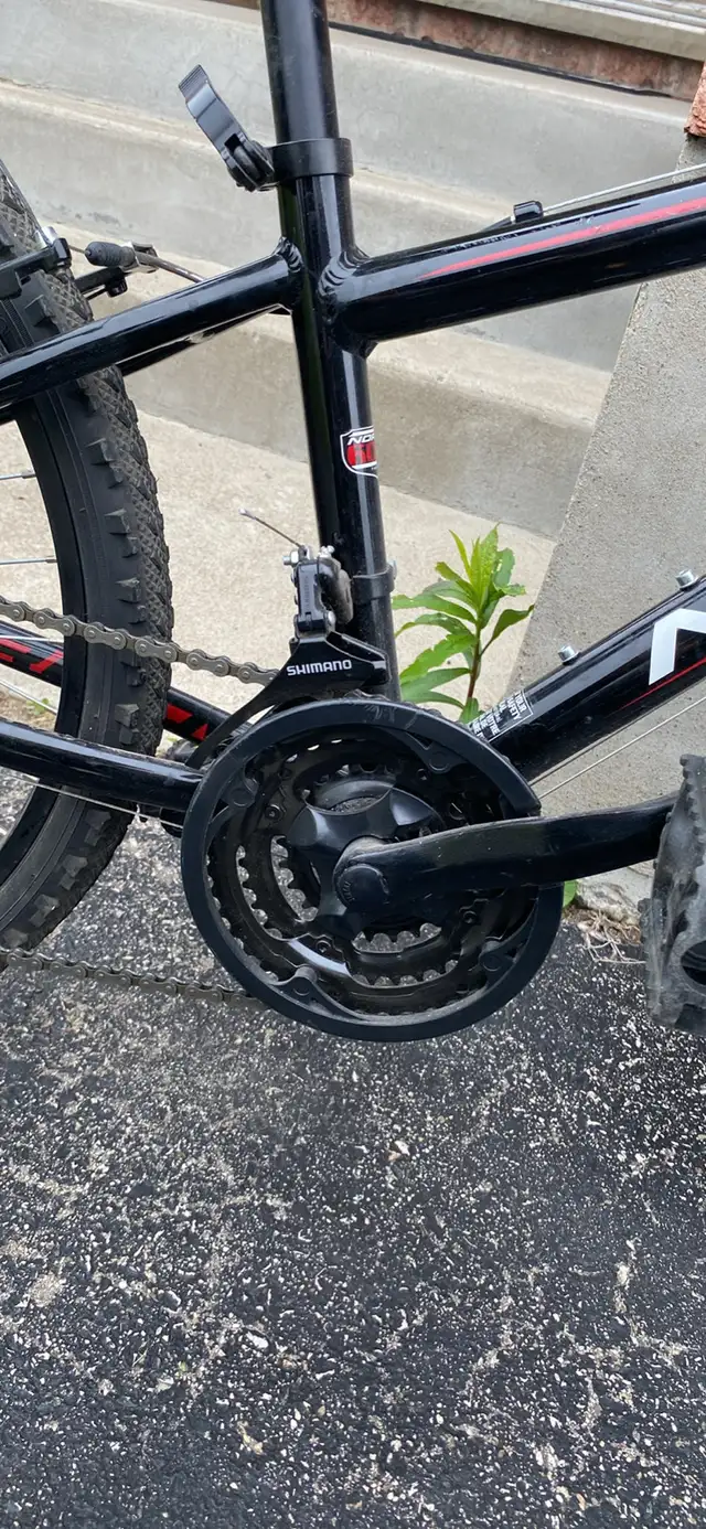bike hornet Norco 24 in youth